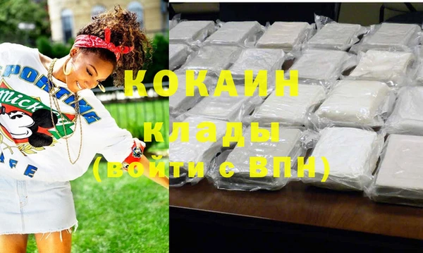 крисы Покачи