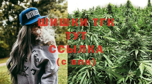 ешки Алексин