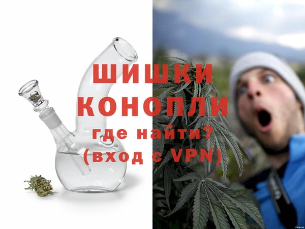 крисы Покачи