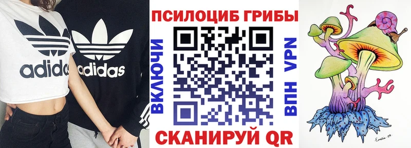Галлюциногенные грибы MAGIC MUSHROOMS  hydra как войти  Олонец 